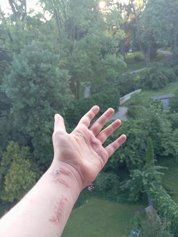 Bild zum Beitrag