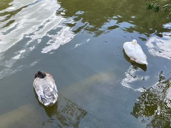 Bild zum Beitrag