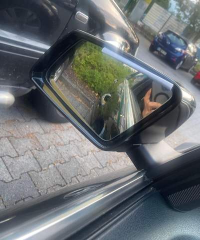 Bild zum Beitrag