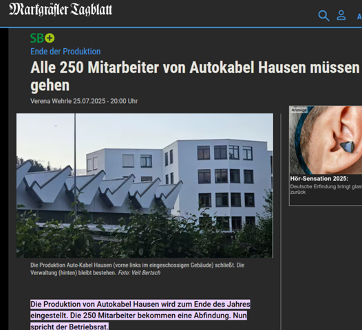 Bild zum Beitrag