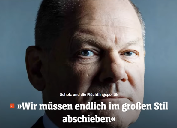 Bild zum Beitrag