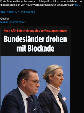 Bild zum Beitrag