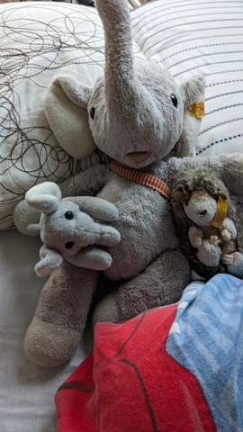 Bild zum Beitrag
