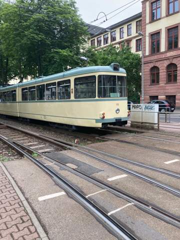Bild zum Beitrag