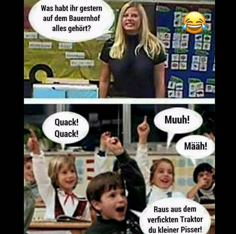 Findet Ihr Sowas Witzig Lustig Witze Meme