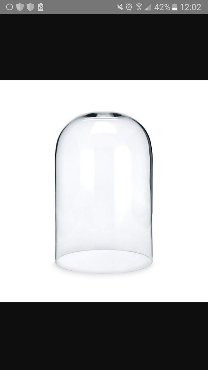 Findet man solch eine Glashaube/Plastikhaube (Plastikglocke/Glasglocke) in einem Dekogeschäft oder Bastelladen? (Recht, Mode, Wirtschaft und Finanzen)