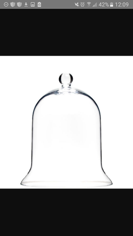Findet man solch eine Glashaube/Plastikhaube (Plastikglocke/Glasglocke) in einem Dekogeschäft oder Bastelladen? (Recht, Mode, Wirtschaft und Finanzen)