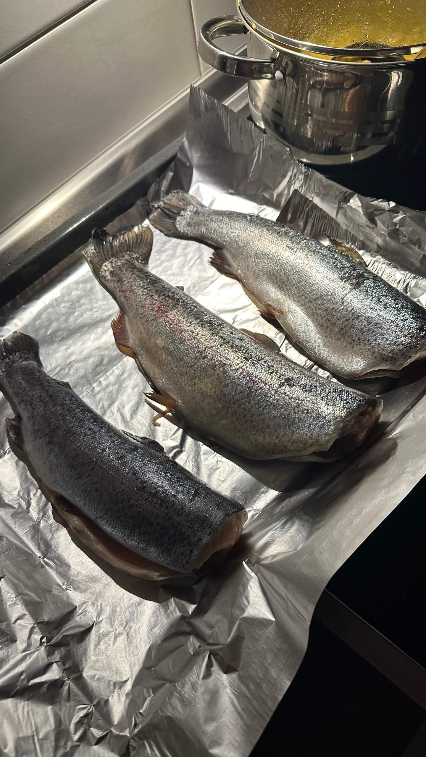 Woran Erkennt Man Ob Geräucherter Fisch Noch Gut Ist Fisch auf dem Balkon noch gut? (Fische, Haltbarkeit, Forelle)