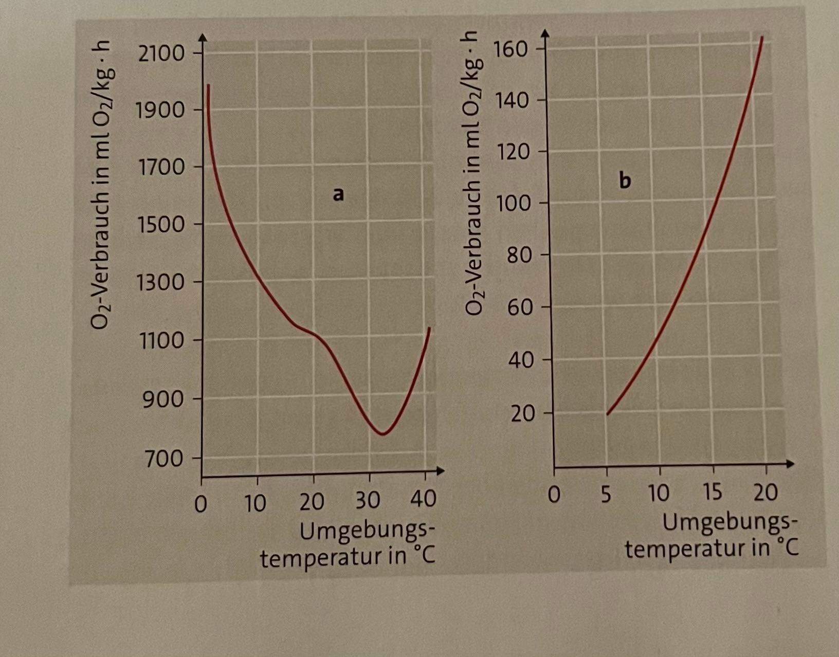 Fisch oder Saugetier? (Schule, Biologie, Fische) Fisch oder Saugetier? (Schule, Biologie, Fische)