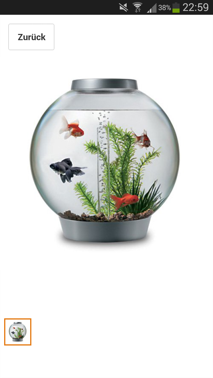 Fische im Kugelglas?! (Aquarium)