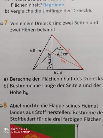 Flächeninhalt Dreieck?