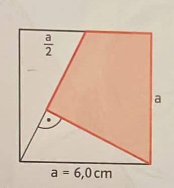 Flächeninhalt Quadrat berechnen?