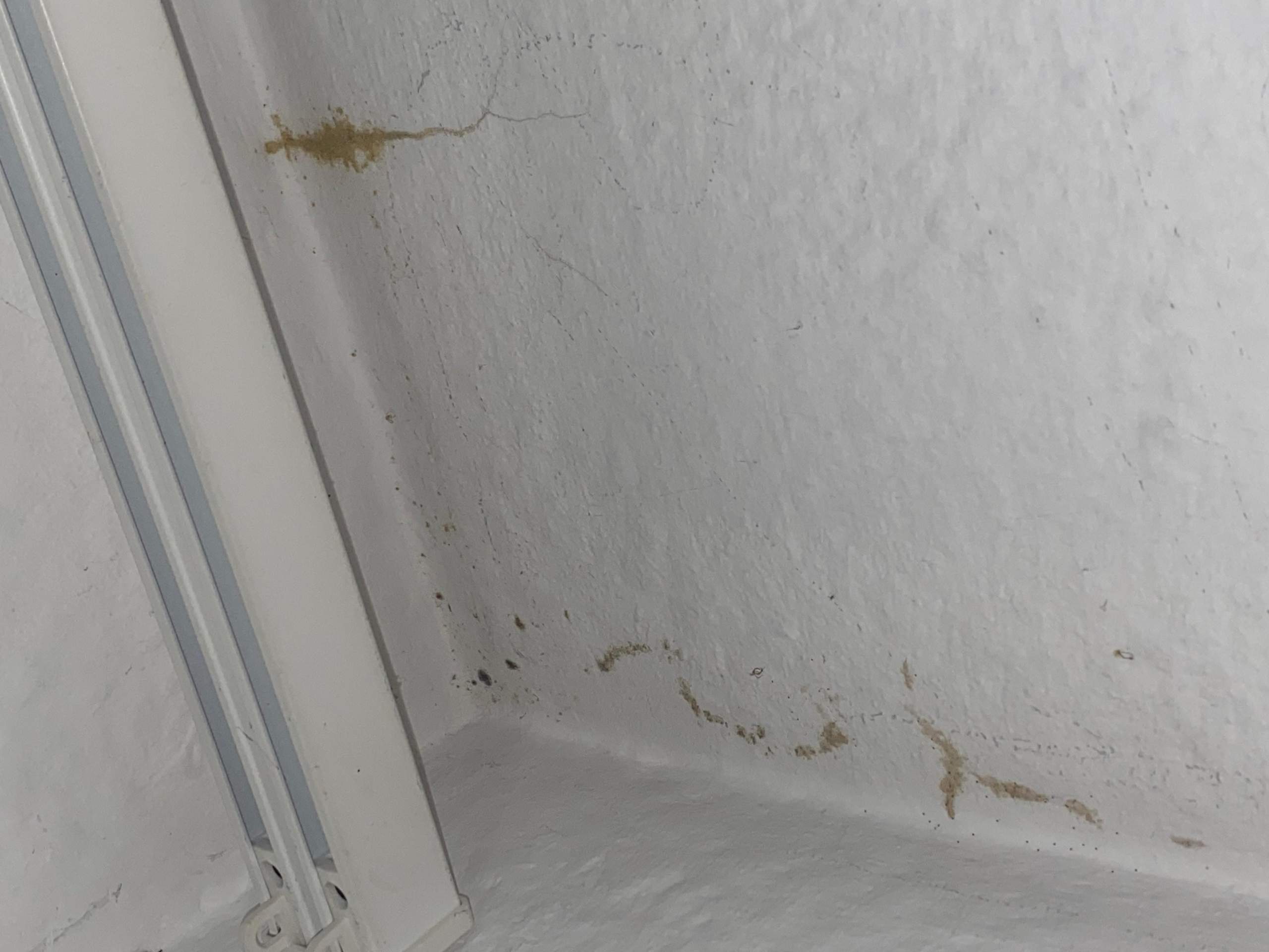 Graue Flecken An Der Wand