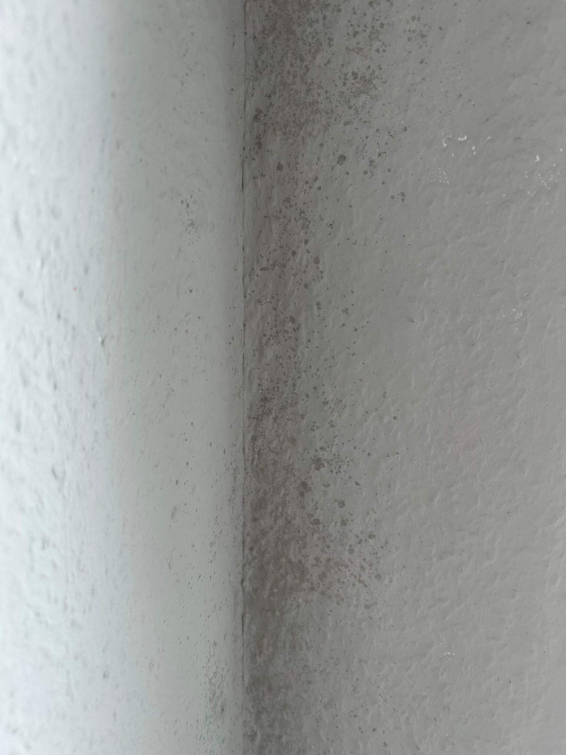 Flecken an der Wand? (Tapete, Wandfarbe)