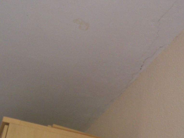 Flecken an der Zimmerdecke?!? (Wohnung, Haus, Zimmer)