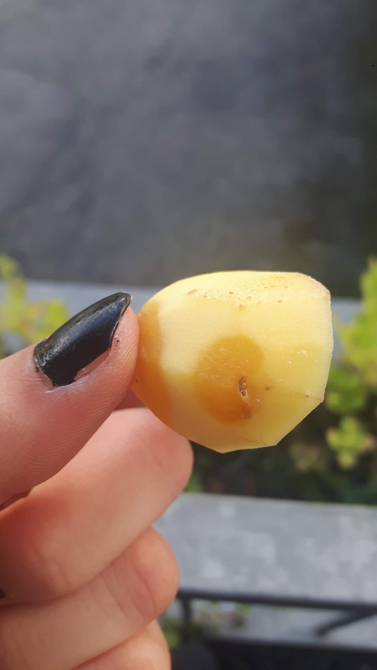 Flecken an Kartoffel? (Kartoffeln, verdorbene lebensmittel)