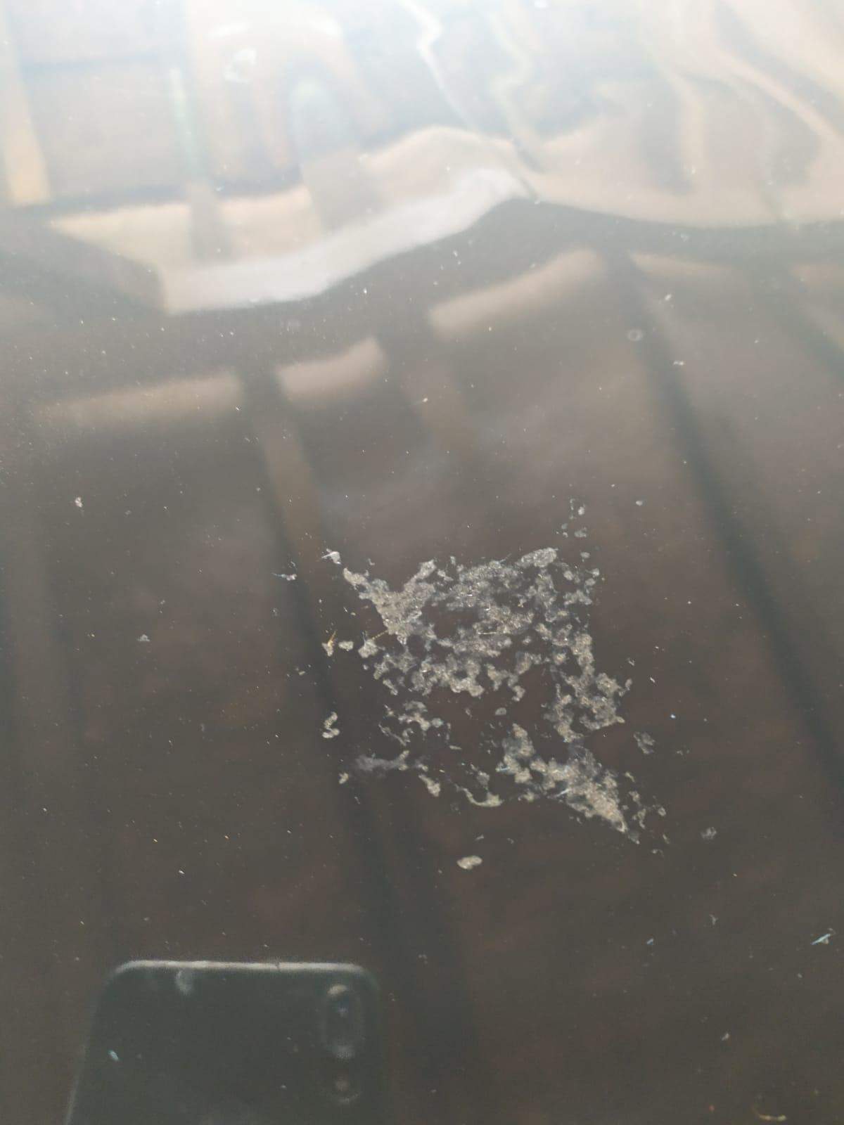 Braune Flecken Auf Autolack