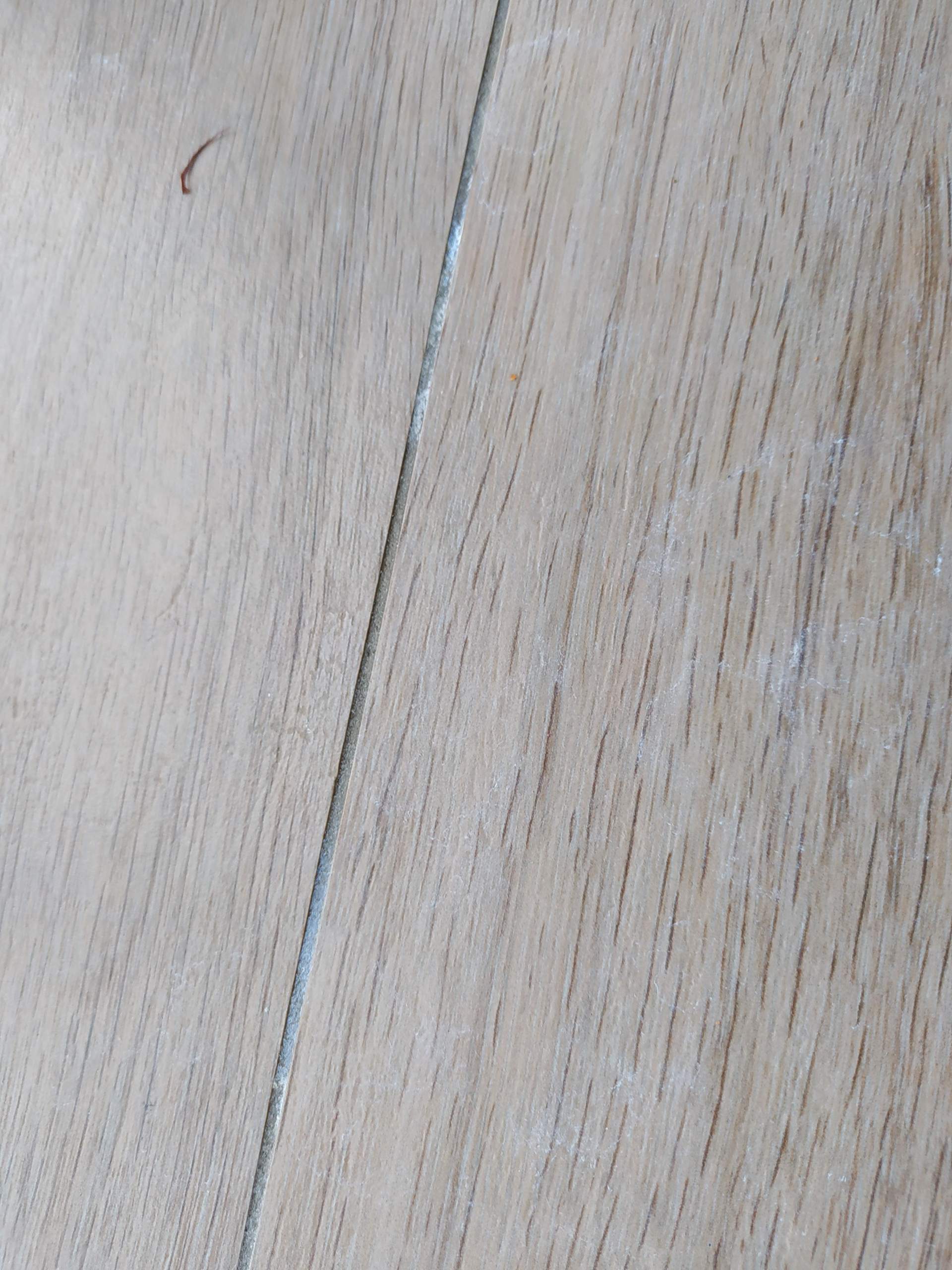 Flecken auf den Fliesen gehen nicht weg Pflanzen schuld? (Reinigungsmittel, Fleckentfernung)