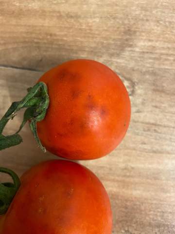 Flecken Tomate?