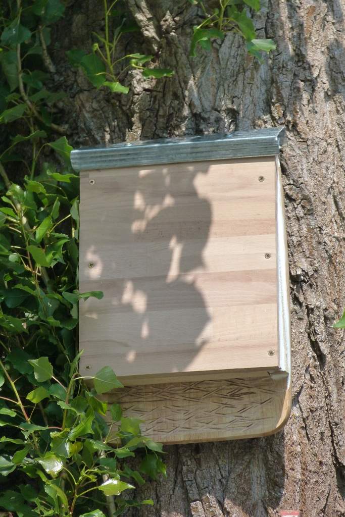 Fledermauskasten - Maße der Einflugöffnung so in Ordnung? (Tiere, Natur