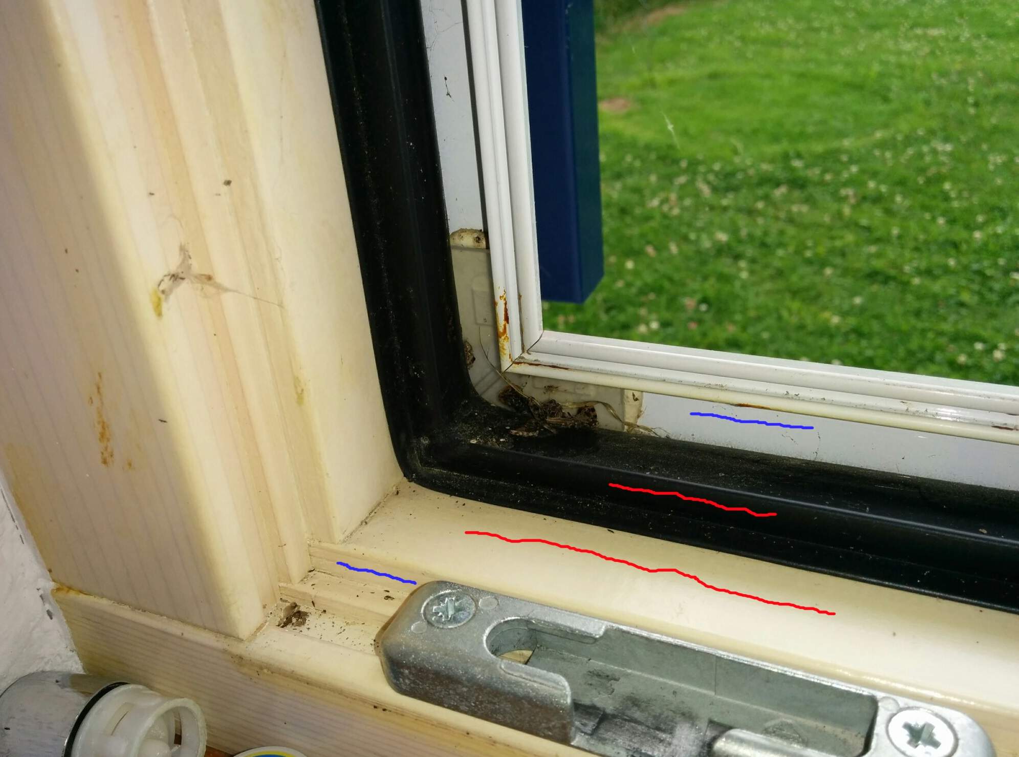 Fliegengitter an Fenster befestigen - Fenster schließen zerstört Gitter (Insektenschutz)