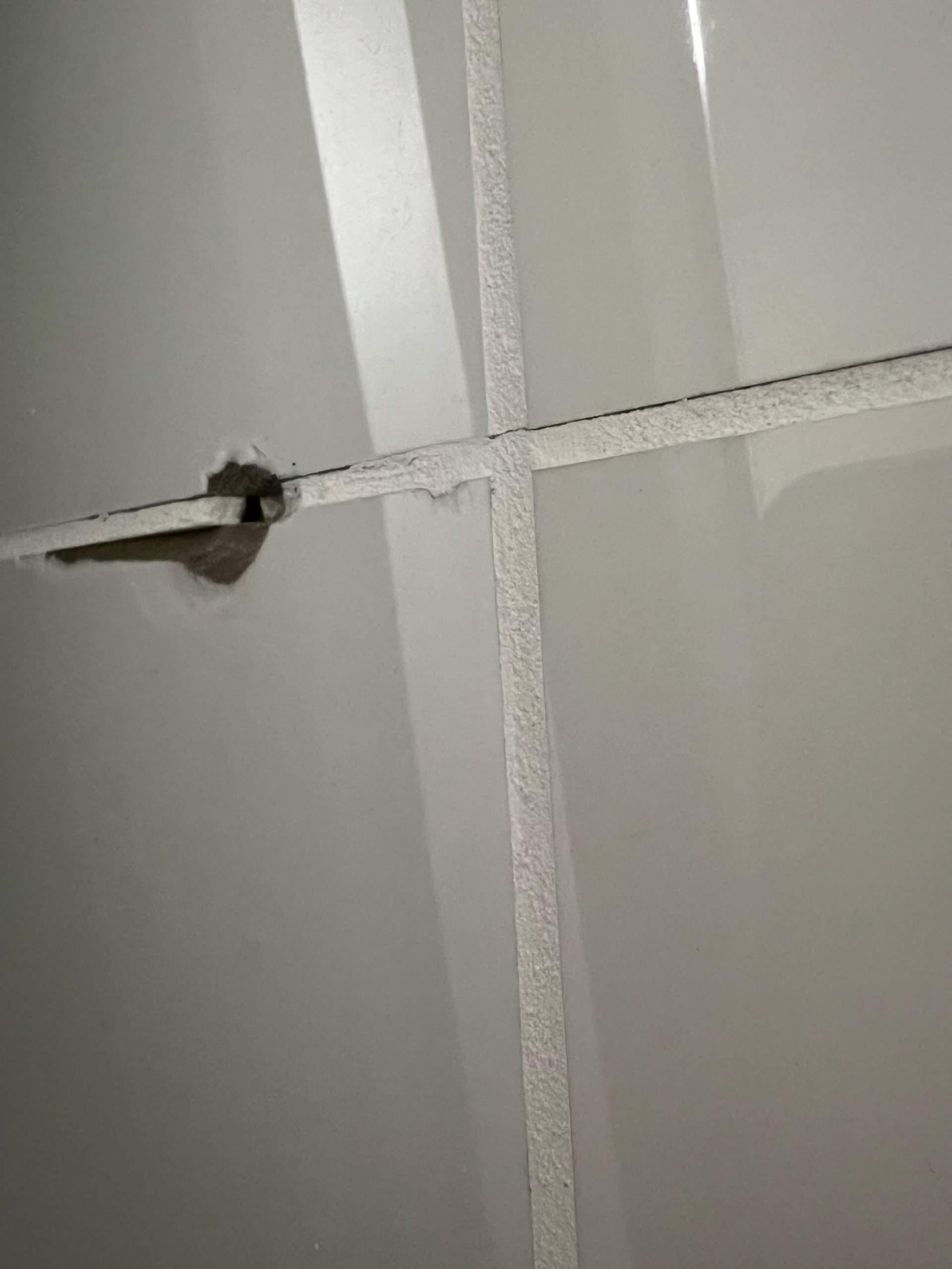 Fliese abgeplatzt Mietwohnung? (Wohnung, Wand, Renovierung)