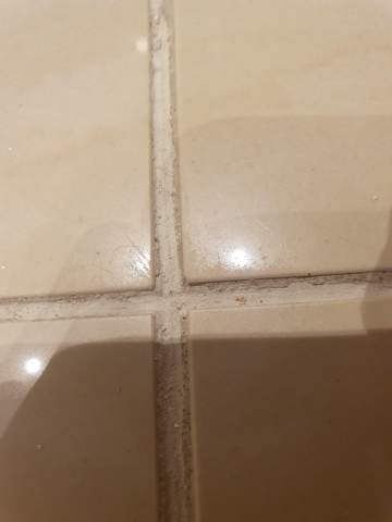 fliesen reparatur fugen