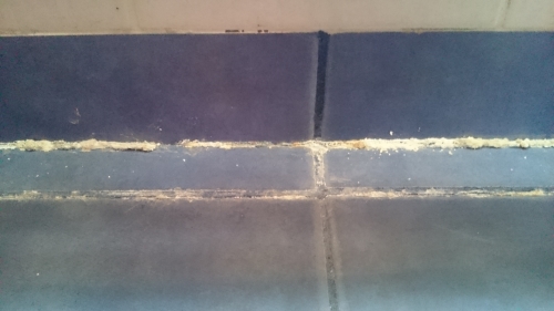 Fliesenboden - harte weiße Verkrustung bei den Fugen die immer wieder