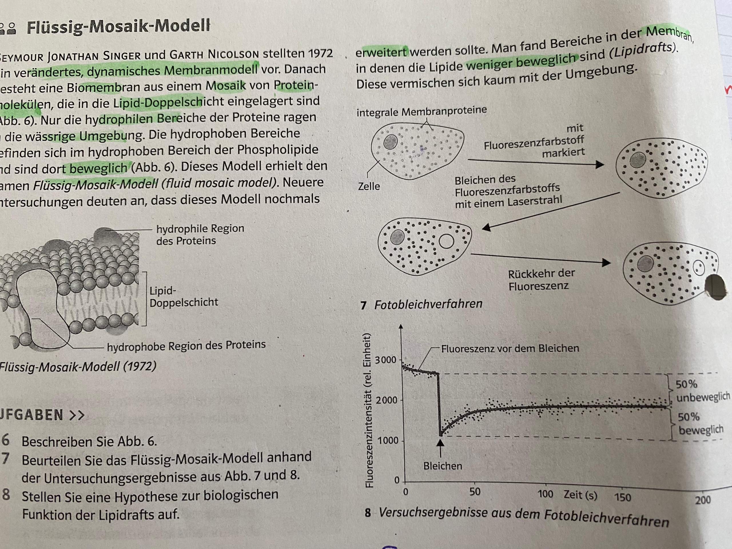 Flüssig Mosaik Modell? (Biologie, Pflanzen, Bio)