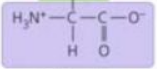 Formel der Aminogruppe?