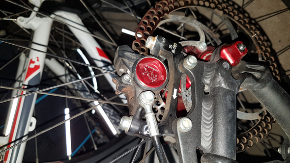 Alle Uber Fahrrad Naben Lager Warten Und Lagerspiel Einstellen Mountainbike Magazin De