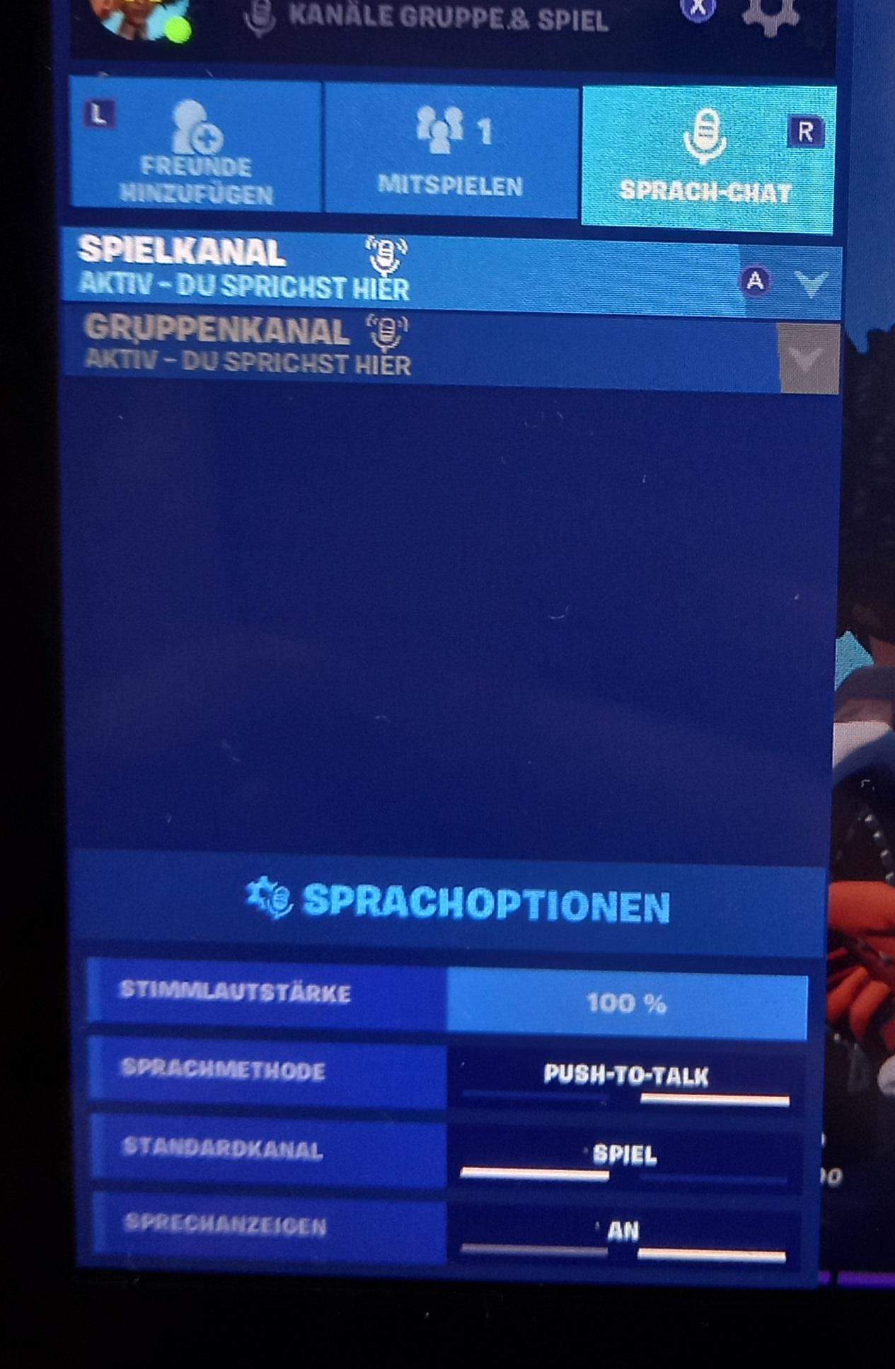 Fortnite SprachChat funktioniert nicht? (Technik, Spiele und Gaming