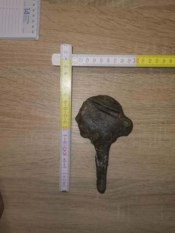Fossilien Fund Worum könnte es sich handeln?