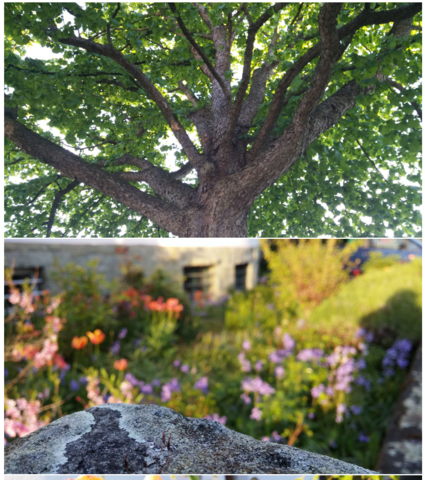 Slideshow - (Website, Fotografie)