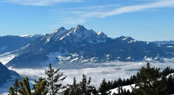 Bild zum Beitrag