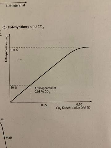 Fotosynthese und CO2 Abbildung?