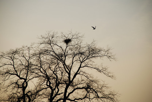 - (Umfrage, Bilder, Fotografie)