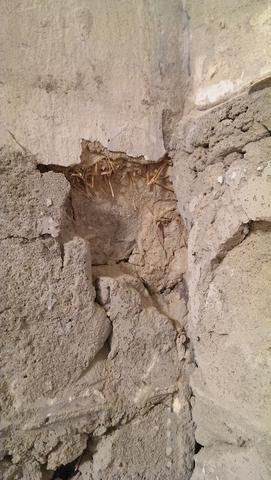 Frage An Bauexperten Altbau Innenwand Sanieren Wie Weiter Machen Renovieren Verputzen