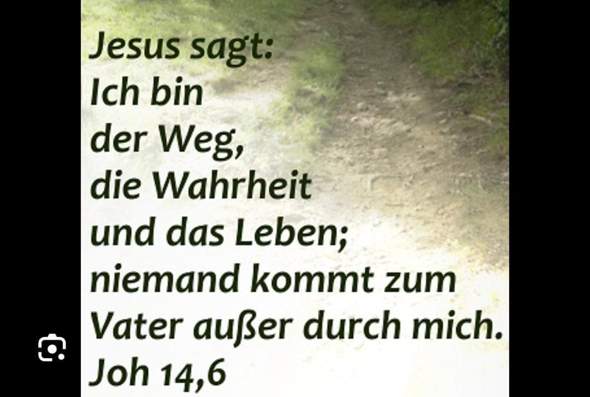 Bild zum Beitrag