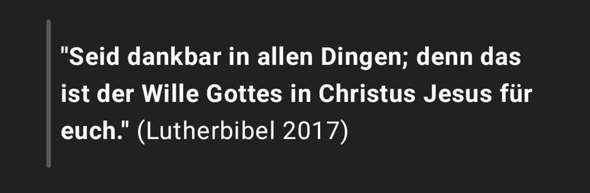 Bild zum Beitrag