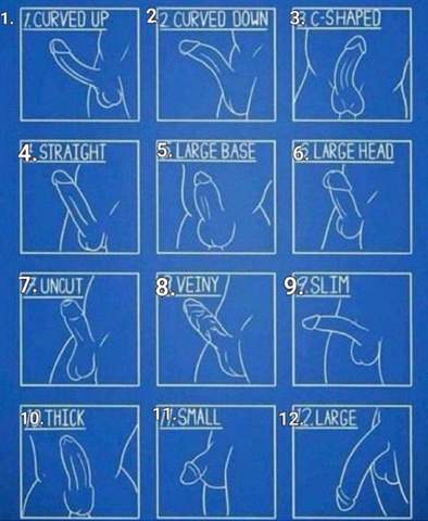 Frage an die Jungs, wie sieht euer Ding aus? (Mdchen, Sexualitt, Selbstbefriedigung) Frage an die Jungs, wie sieht euer Ding aus? (Mdchen, Sexualitt, Selbstbefriedigung)