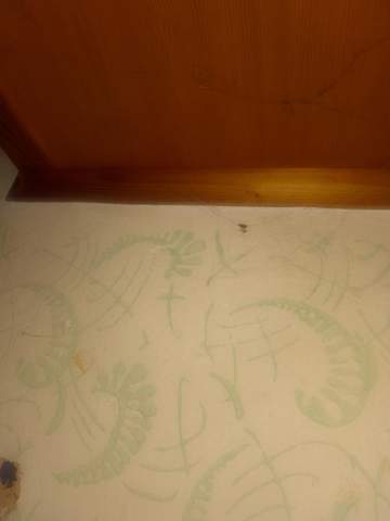 Bild zum Beitrag