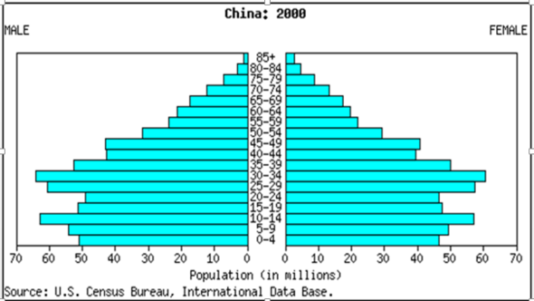 Bevölkerungspyramide Chinas - (Welt, Kultur, China)
