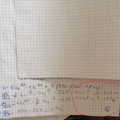 Lagrange Rechenweg - (Mathe, Rechnungswesen, VWL)