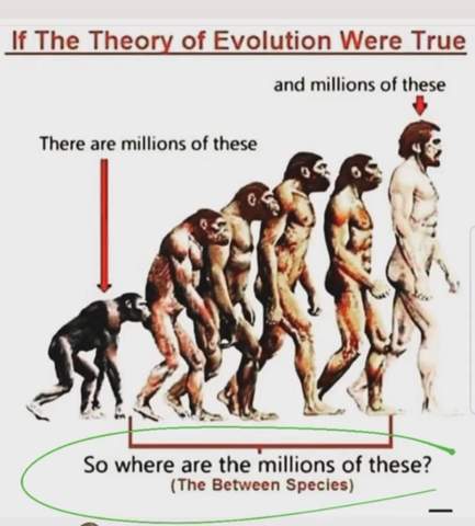Frage zur Evolutionstheorie (Bild)?
