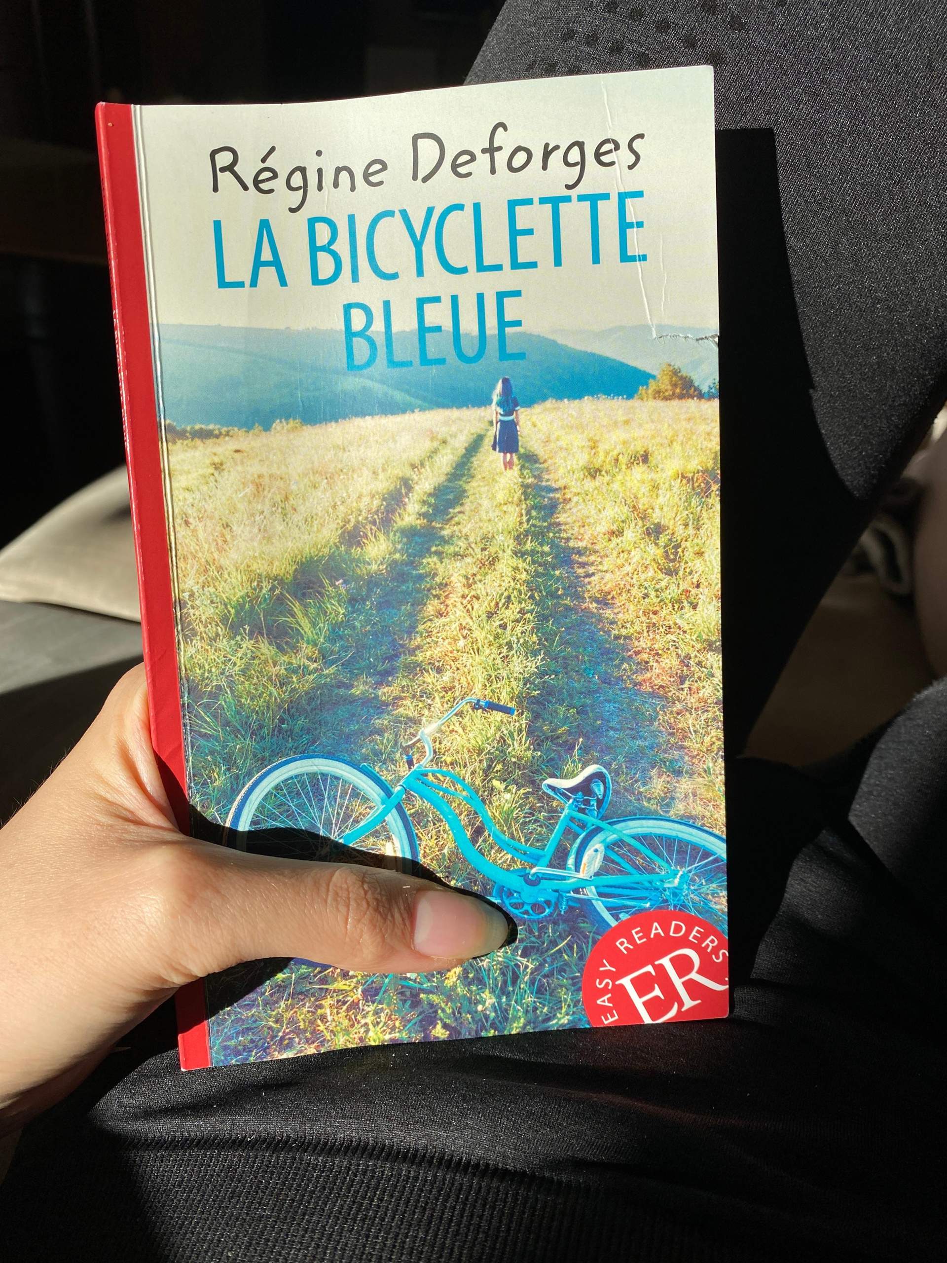 Französisch Lektüre?