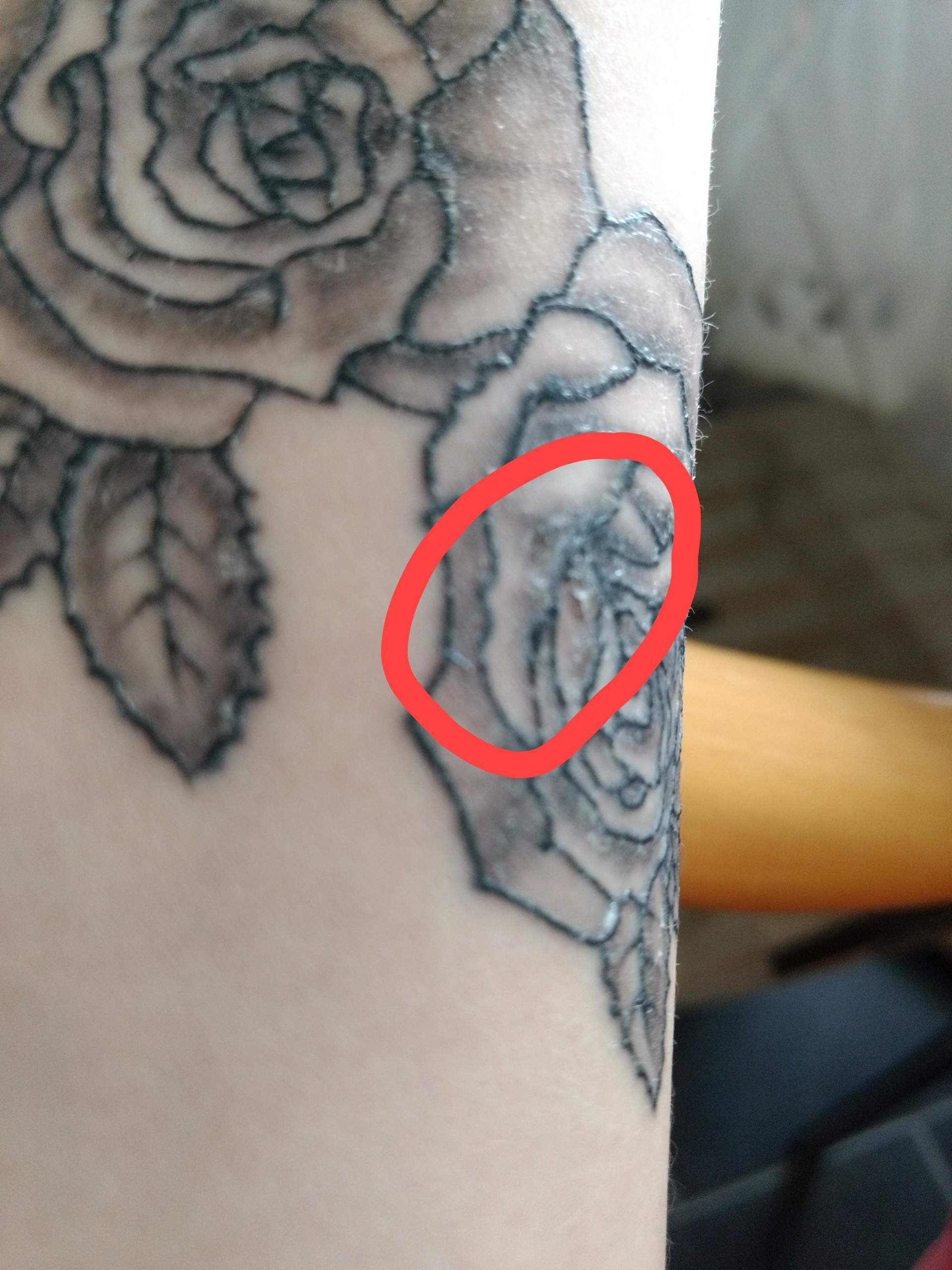 Frisches Tattoo alles krustet ab normal? (Tätowierung, Kruste)
