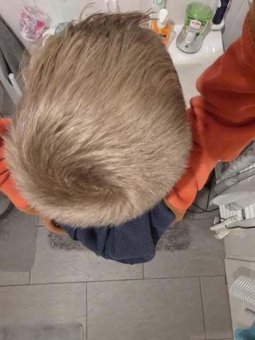 Bild zum Beitrag