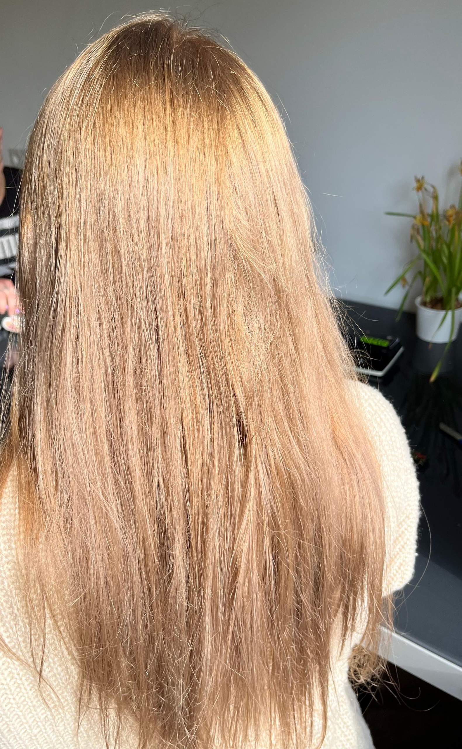 Frizz Haare was tun? (Aussehen, Style, Pflege)