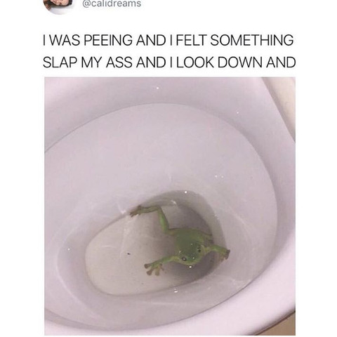 Frosch in der Toilette! - (Tiere, Angst, Toilette)